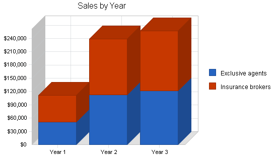 Business support insurance business plan, strategy and implementation summary chart image