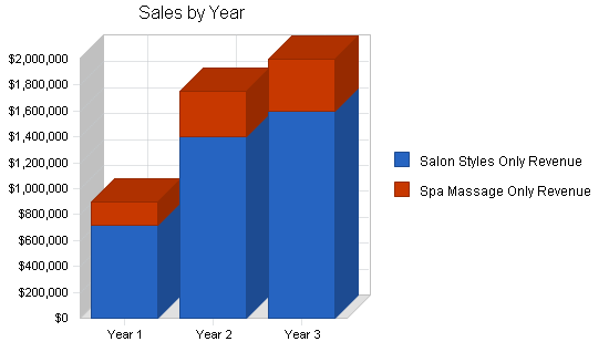 Health spa business plan, strategy and implementation summary chart image