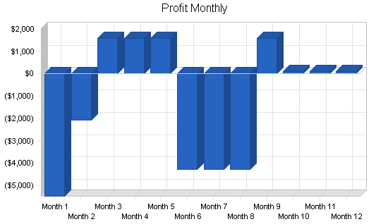 Roller skate rink business plan, financial plan chart image