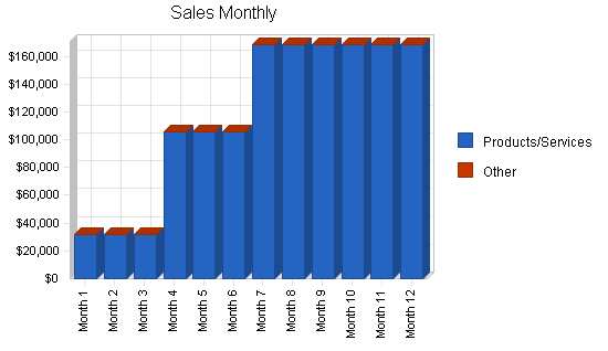 Computer support business plan, strategy and implementation summary chart image