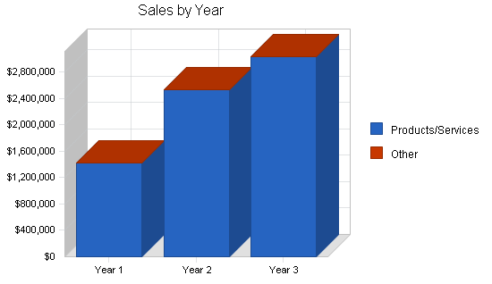 Computer support business plan, strategy and implementation summary chart image