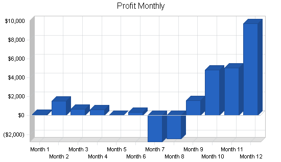 Retail bicycle shop business plan, financial plan chart image