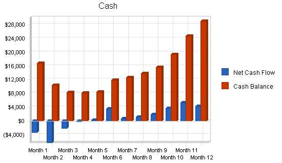 Womens shoe store business plan, financial plan chart image