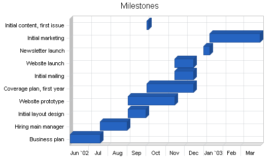 Newsletter publishing business plan, strategy and implementation summary chart image