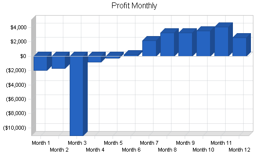 Home real estate inspection business plan, financial plan chart image