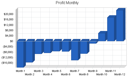 Organic restaurant business plan, financial plan chart image