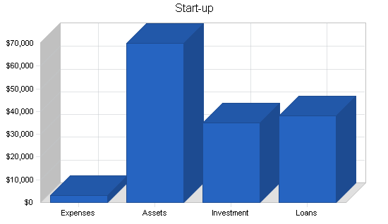 Artificial flowers import business plan, company summary chart image