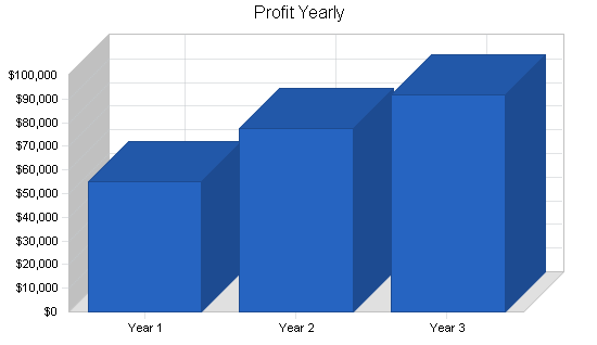 Music retail business plan, financial plan chart image