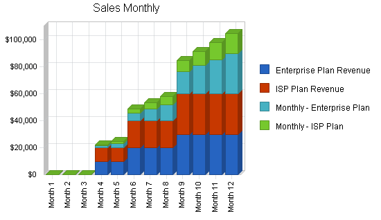 Wireless datacomm business plan, strategy and implementation summary chart image