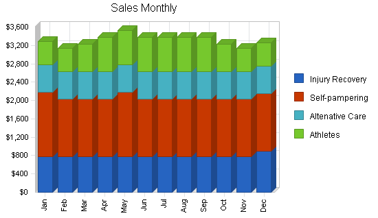 Physical therapy massage business plan, strategy and implementation summary chart image