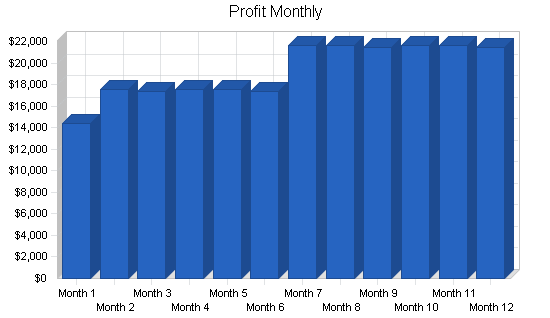 Diaper manufacturer business plan, financial plan chart image