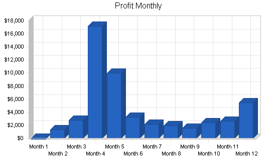 Motel - hunting lodge business plan, financial plan chart image