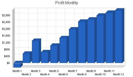 Computer software retailer business plan, financial plan chart image