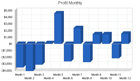 Outdoor gear designer business plan, financial plan chart image