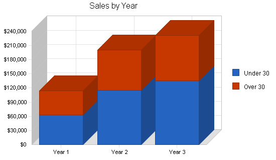 Independent video store business plan, strategy and implementation summary chart image