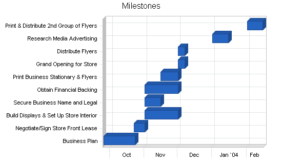 Computer software retailer business plan, strategy and implementation summary chart image