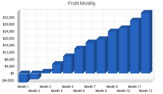 Chiropractic clinic business plan, financial plan chart image