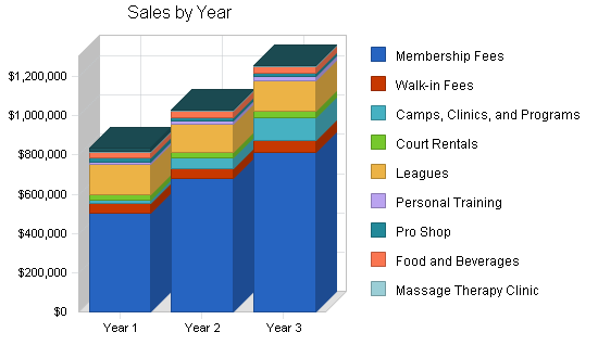 Multi sport complex business plan, strategy and implementation summary chart image