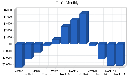 Real estate broker business plan, financial plan chart image