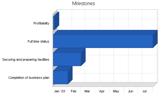 Chiropractic business plan, strategy and implementation summary chart image