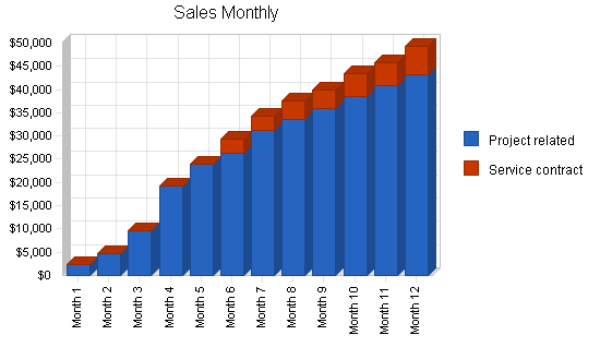 Outsourced computer support business plan, strategy and implementation summary chart image