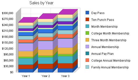 Rock climbing gym business plan, strategy and implementation summary chart image