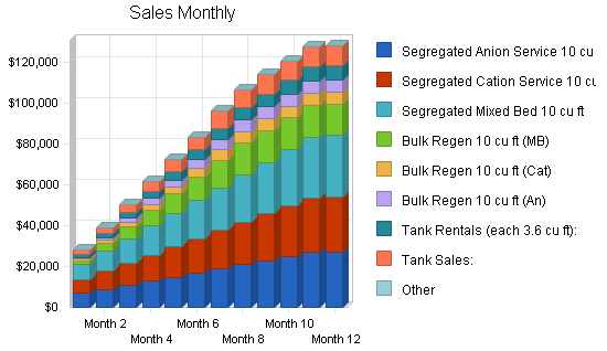 Water purification business plan, strategy and implementation summary chart image