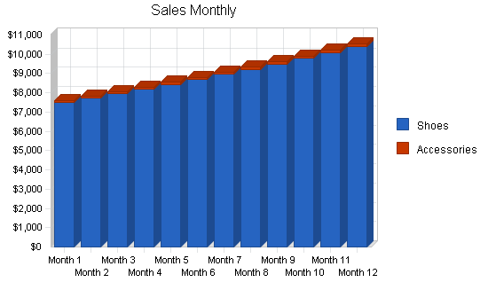 Womens boutique shoe store business plan, strategy and implementation summary chart image