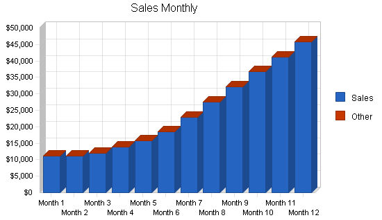 Health plan administration business plan, strategy and implementation summary chart image