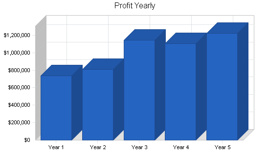 Amusement park business plan, financial plan chart image