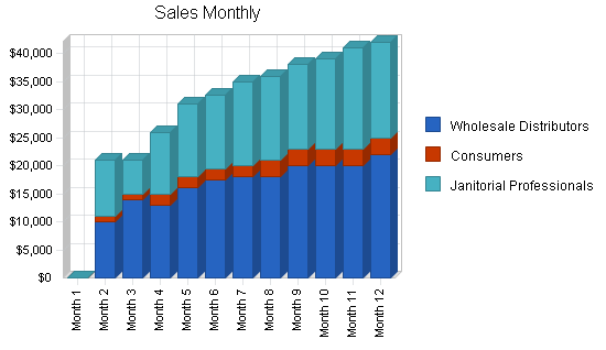 Cleaning products business plan, strategy and implementation summary chart image