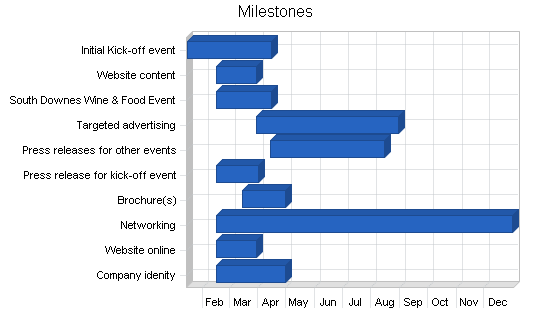 Membership social events business plan, strategy and implementation summary chart image