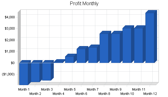 Pizza delivery business plan, financial plan chart image