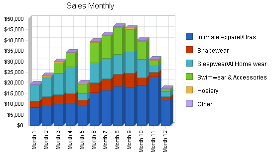 Lingerie retail clothing store business plan, strategy and implementation summary chart image