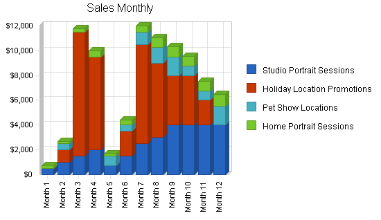 Pet photography business plan, strategy and implementation summary chart image