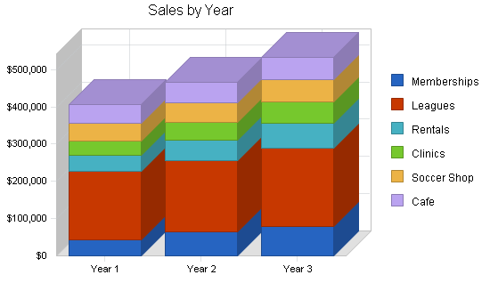 Indoor soccer facility business plan, strategy and implementation summary chart image