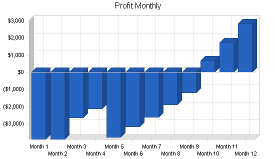 Independent video store business plan, financial plan chart image