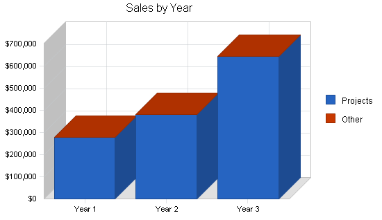 Computer programming business plan, strategy and implementation summary chart image