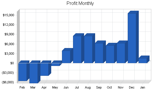 Microbrewery business plan, financial plan chart image