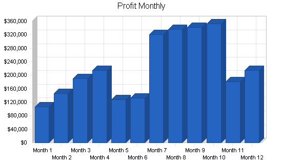 Medical internet marketing business plan, financial plan chart image