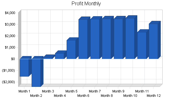 Management consulting business plan, financial plan chart image