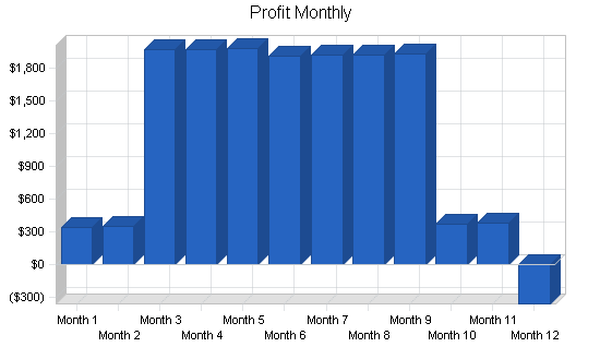 Shaved ice beverage business plan, financial plan chart image