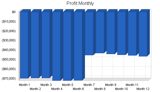 Print shop website business plan, financial plan chart image