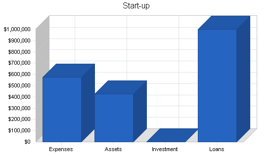 Information technology business plan, company summary chart image