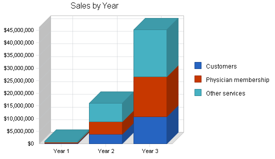 Medical services management business plan, strategy and implementation summary chart image