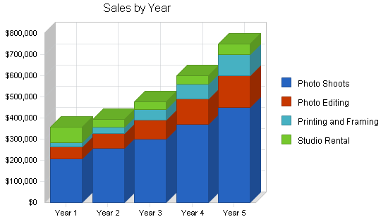 Commercial photography business plan, strategy and implementation summary chart image