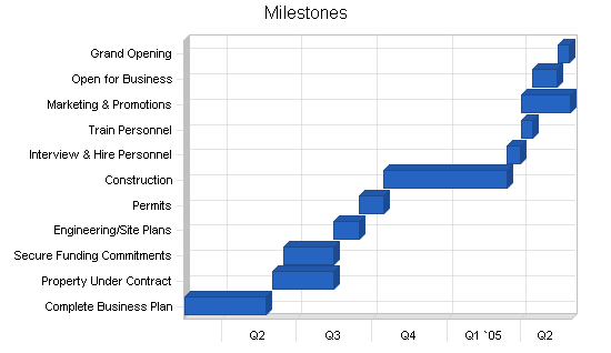 Miniature golf course business plan, strategy and implementation summary chart image
