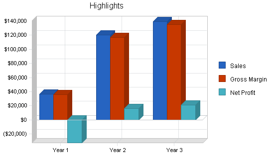 Chiropractic business plan, executive summary chart image