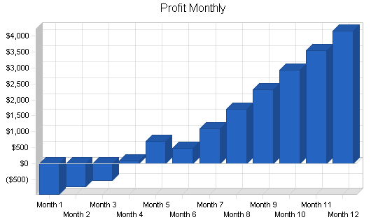 Video documentation service business plan, financial plan chart image