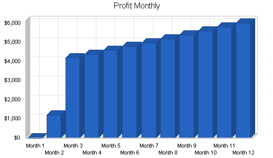 Bed and breakfast inn business plan, financial plan chart image